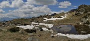 37 Bel valloncello con neve in disgelo, belle pozze d'acqua,distese di  Crocus vernus 